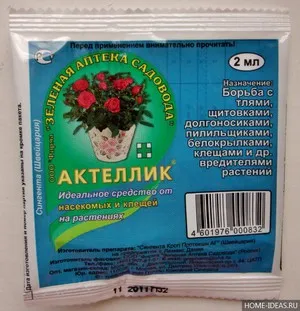 Aktellik инструкции за употреба на инсектицида, основните характеристики, ревюта градинари
