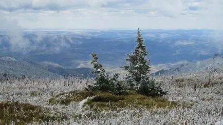 Altai Reserve - a csúcspontja az Altáj terület