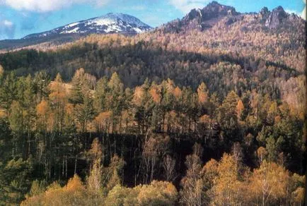 Altai Reserve - a csúcspontja az Altáj terület