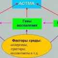 Антихистамини във фондове за астма за деца и възрастни