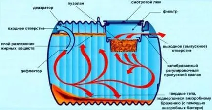 Bacteriile pentru fose septice