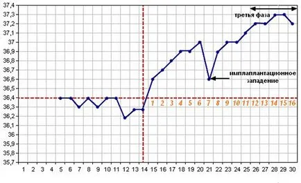 Alaphőmérséklet terhesség alatt, és a szokásos menetrend, megfejteni