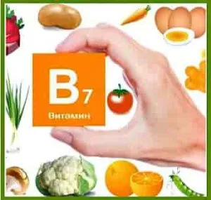 Biotina sau vitamina B7 vitamina pentru păr, manualul de instrucțiuni