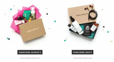 Birchbox - un magazin online care oferă cadouri