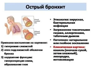 лечение Бронхит наркотици, народни средства за защита, при възрастни