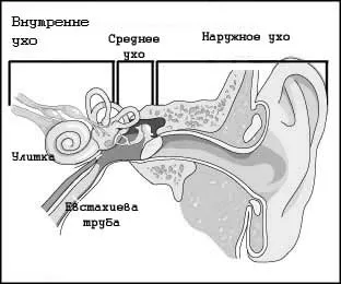 , Лечение на Мениер симптоми на заболяването