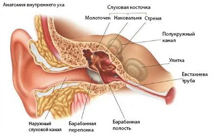 Meniere simptomele bolii, tratamentul