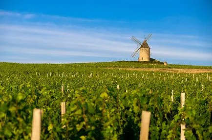 Beaujolais, nu un „Nouveau“ - o casetă de prezentare on-line