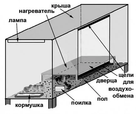 Брудера за пилета със собствените си ръце - описание, брудера функция, инструкции стъпка по стъпка за създаването на