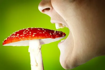 Camaya nagy titok energia gombát eszik