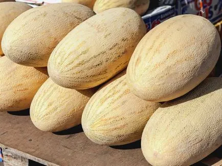 Melon torpedó leírása és jellemzői a termesztés fajták