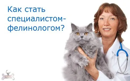 експерт felinologist