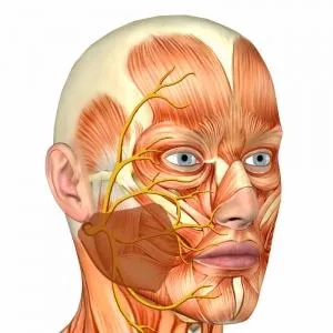 simptome faciale neuropatie nervoase si tratament la domiciliu