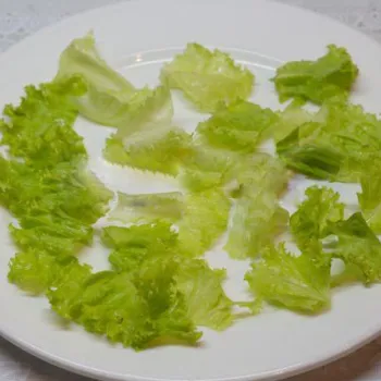 Szokatlan saláta csirkével és citrancs