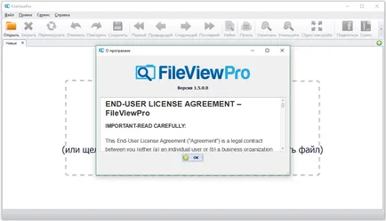 Fileviewpro свободно изтегляне с ключ