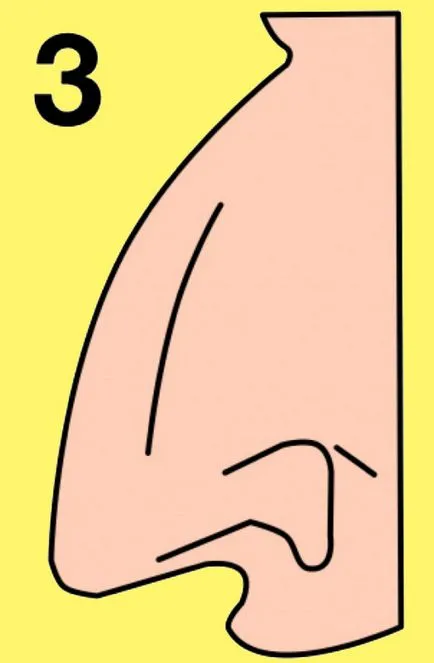 Forma nasului pentru a spune tot adevărul despre caracterul tău - infomania