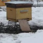 Ahol a téli méhek, méhészet gyakorlat
