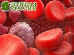 A hemofília gyógyítható