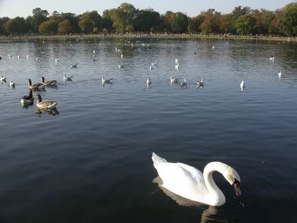 Hyde Park, omyworld - minden látnivaló a világ