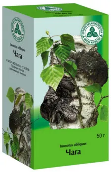 Mushroom Chaga използването му при лечение на псориазис и коментари