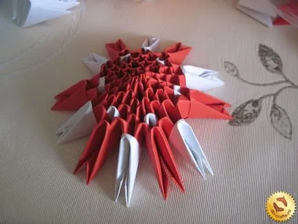 Module de ciuperci origami cu mâinile lor, schema