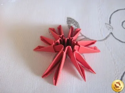 Module de ciuperci origami cu mâinile lor, schema