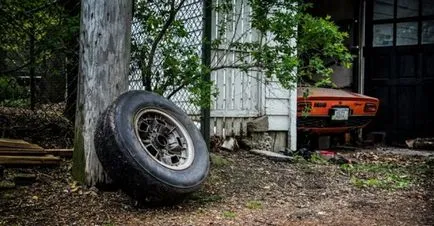 Italian masina sport lamborghini a stat timp de 28 de ani, într-un garaj (28 poze) - triniksi