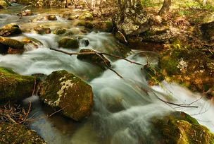 Cum de a face fotografii de râu și cascade