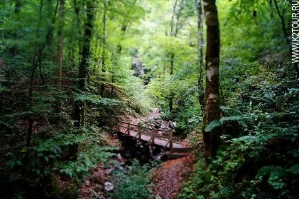 Noțiuni de bază pentru cascade zmeykovskih