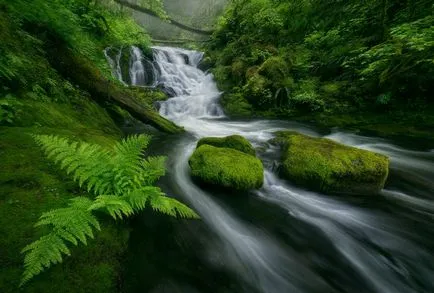 Cum să fotografieze Cascade 1