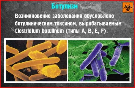 Ботулизъм в краставици - признаци на отрова в сол и кисели консерви