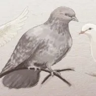 Hogyan kell felhívni a bagoly madár ceruza szakaszaiban