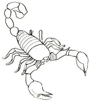 Cum de a desena etape scorpion, lecții bune