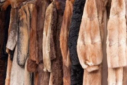 Как да се определи качеството на палто от норка