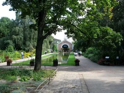 Cum de a găsi Grădina Botanică de la Universitatea de Stat din Moscova