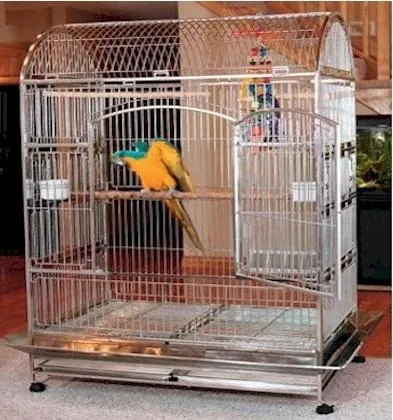 Ce ar trebui să fie o cușcă bună pentru papagali
