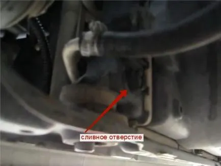 Cum se schimba antigelul Ford Focus (decis) - 1 răspuns