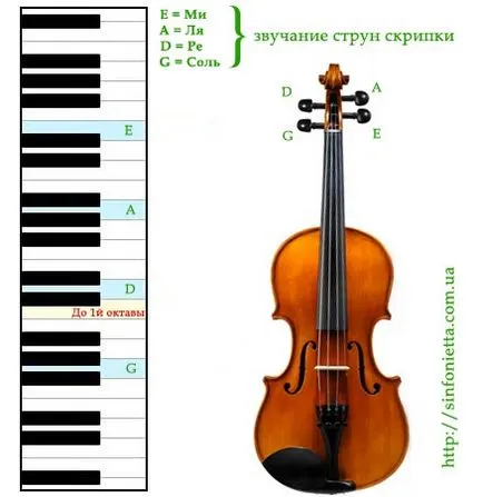 Cum se instalează siruri de caractere, magazin de muzică Sinfonietta - instrumente muzicale