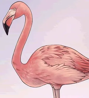 Cum de a desena un flamingo roz în etape simple și ușor pentru a trage cu creion, stilou, sau