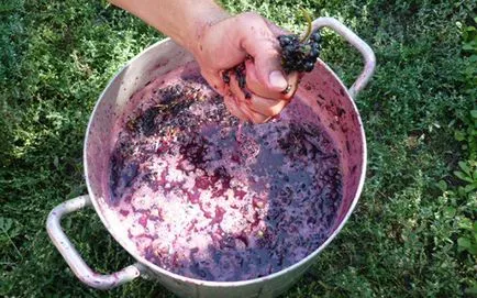 Hogyan készítsünk házi bor szőlőből otthon