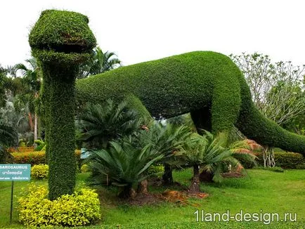 Как да си направим Topiary в страната - два лесни начина, моите идеи за градината и градината