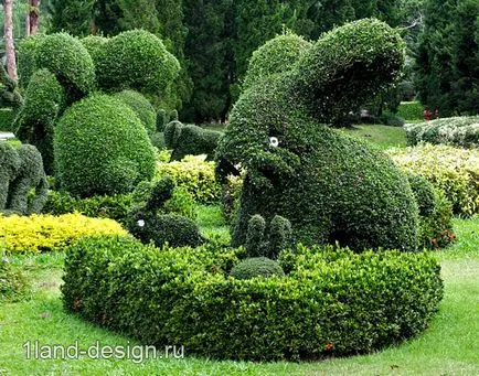Как да си направим Topiary в страната - два лесни начина, моите идеи за градината и градината