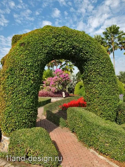 Как да си направим Topiary в страната - два лесни начина, моите идеи за градината и градината