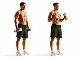 Crearea unui program eficient de formare pentru dezvoltarea bicepsului