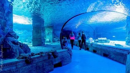 Oceanarium Moscova Adresa, pret