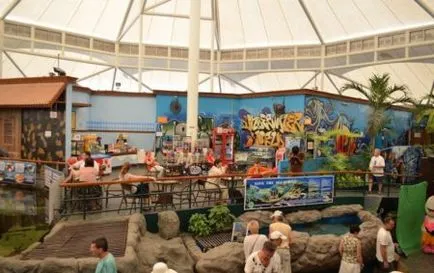 Oceanarium в цената Патая билет и как да се получи