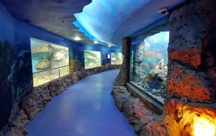 Oceanárium Moszkva Cím, ár