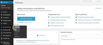 Cum de a stabili o temă pe WordPress, sebweo