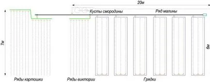 irigare prin picurare în parcelele de grădină