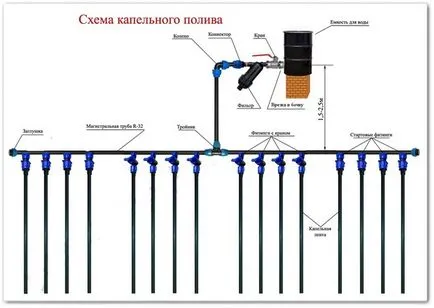 Csepegtető öntözés a kertben parcellákon